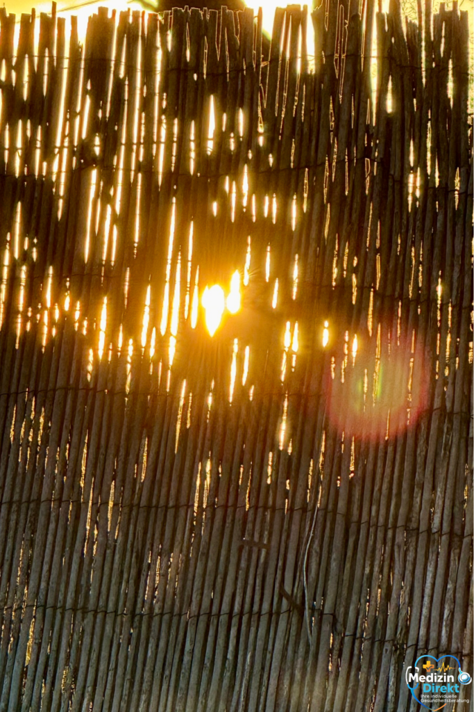 Sonnenlicht scheint durch einen rustikalen Holzzaun mit warmem Licht