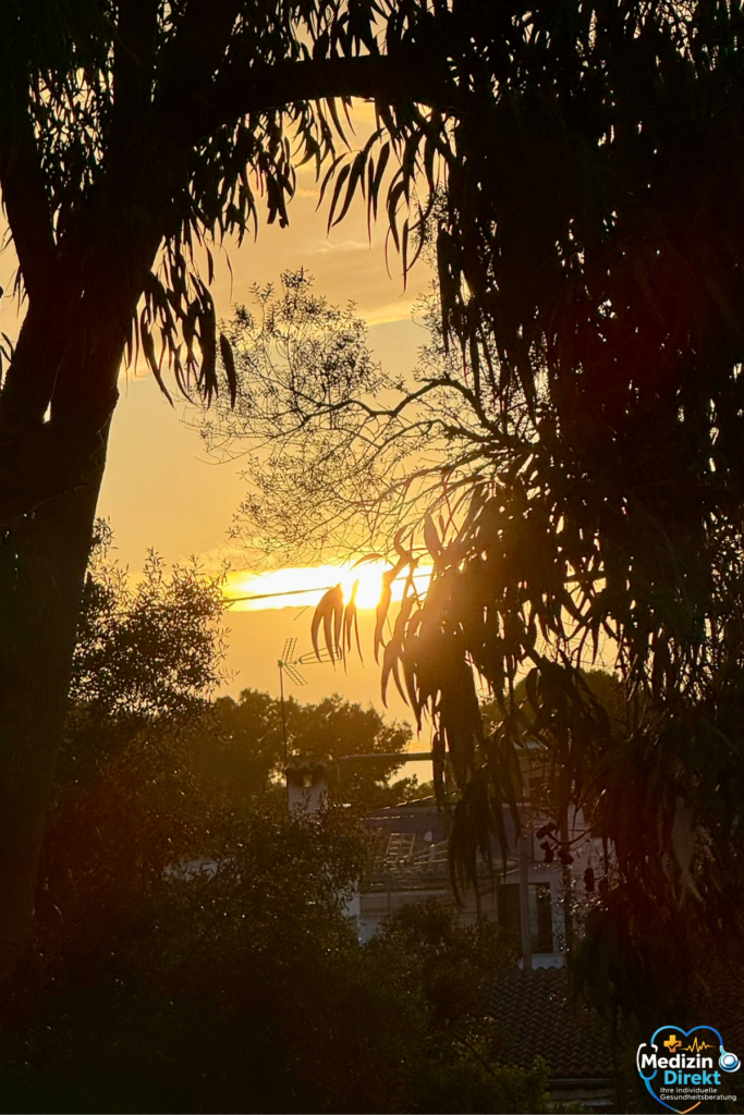 Tief stehende Sonne scheint durch Baumkronen über einer ruhigen Landschaft