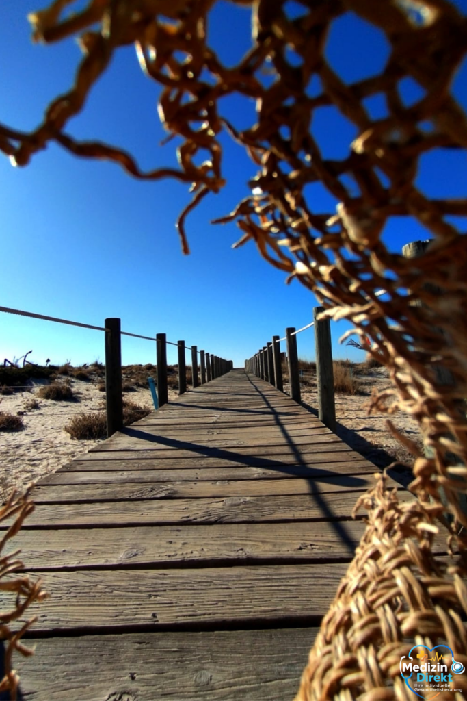 Holzsteg durch eine Dünenlandschaft, gesehen durch einen beschädigten Strohhut im Vordergrund.